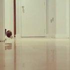 Cuteness overload in 3 ... 2 ... 1