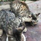 When sharing isn’t your strongest suit