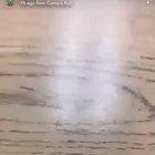 Kid in Orange fucks up other kid for stealing his brothers phone