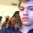 Mia, the official shoulder dog