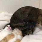 Zero f*cks given about personal space