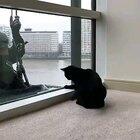 It’s important to enjoy what you do!❤️🐱