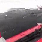 Oh! Hey.... hmmm wrong island. Hmmmm didn’t mean to disturb you. Hmmmm bai bai