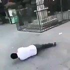 Trying to kick a bird. Why dude? Why?