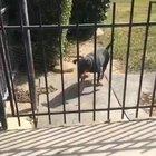 Isolation is hard for everyone ..