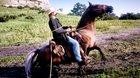 [Red Dead Redemption 2] Never feed your horse magnets