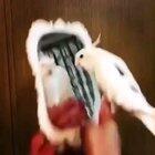 *sound* you wont regret it