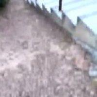 Some say he's a spongebob voice actor