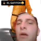 Top 5 momentos rugbier