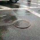 Teenage turtles calling you