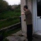 How to turn yourself into ‘Snake Man’