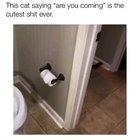 I'mma say nope to this cat