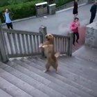 They are evolving...