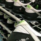 Staple x Nike SB Dunk Low 'Pigeon 3.0