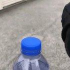 Not what you'd think