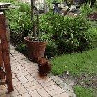 Coming in for some cuddles