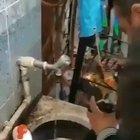 This man saves this dying puppy