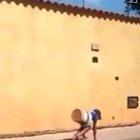 E M O Z I O N A N T E