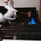 Excuse me wtf are you drinking there ?