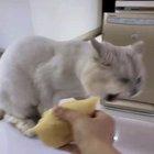 Me when I smelled durian.