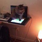 Playing the song of her people