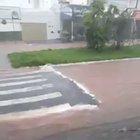 One normal rainy day in Brazil... Portable crosswalk