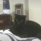 This is just perfect (Sound On)