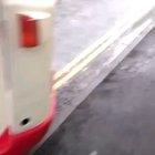 Truckers gonna truck