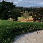 It's just a normal day