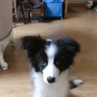 This melted my heart