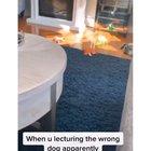 They were scolding the small dog for getting out of the house