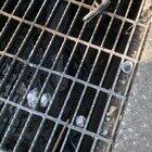 So I was spraying the weeds near my mailbox and saw something move in the culvert.