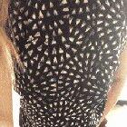 Forgot to pack my bra in my gym bag 🤧thankful for my small tittys 🙏🏽🙏🏽😉 [f]