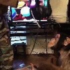 Monkey having fun with a VR headset on