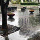 Seoul today + bonus wife wave