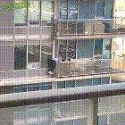 Im sure they'd return your cat if you knocked