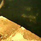 Last night in Istanbul. After quarantine, our world is getting better.