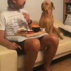 I want some, but I don’t want to make it too obvious .