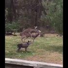 Psychological trauma for all life