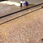 Sent to me via WhatsApp. Getting baptized in the Mersey...