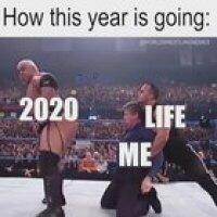 Pretty much the year so far