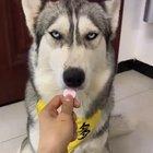 Something's not right..