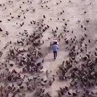 This dude makes art with birds