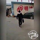 Watch dog die inside (watch till the end)