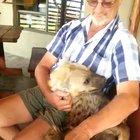 Heyena enjoying some scratches