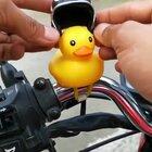 Rubber ducky