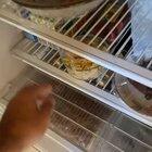 Do birds like pasta?