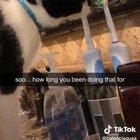 That's not how you brush yo teef. WWWYC?!