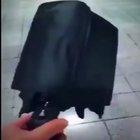 cursed umbrella