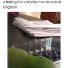 Even i got angry watching this.